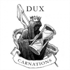Dux - Carnations